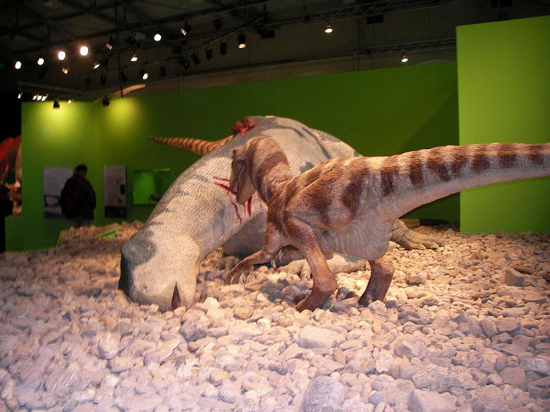 LV Zeltlager 2008 080.jpg